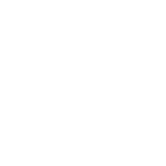 Stefano Grimaldi – Videographer